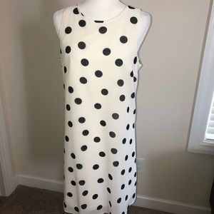 Ann Taylor Factory Polka dot dress